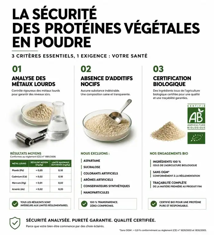 Infographie sur les critères de sécurité et les dangers potentiels des protéines végétales en poudre